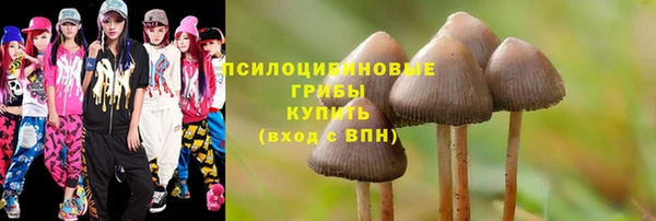MDMA Богородск