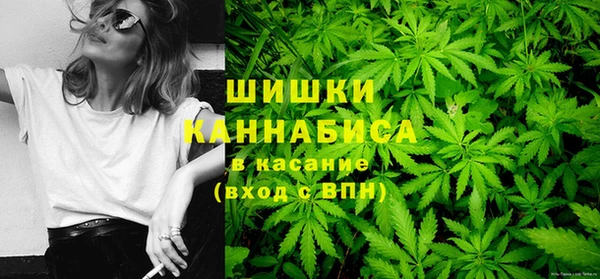 гидропоника Богданович